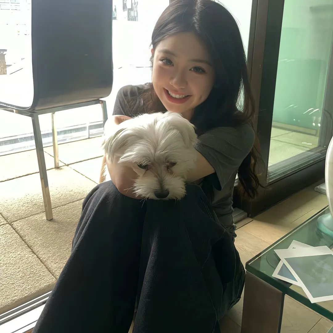 十二猴子第三季